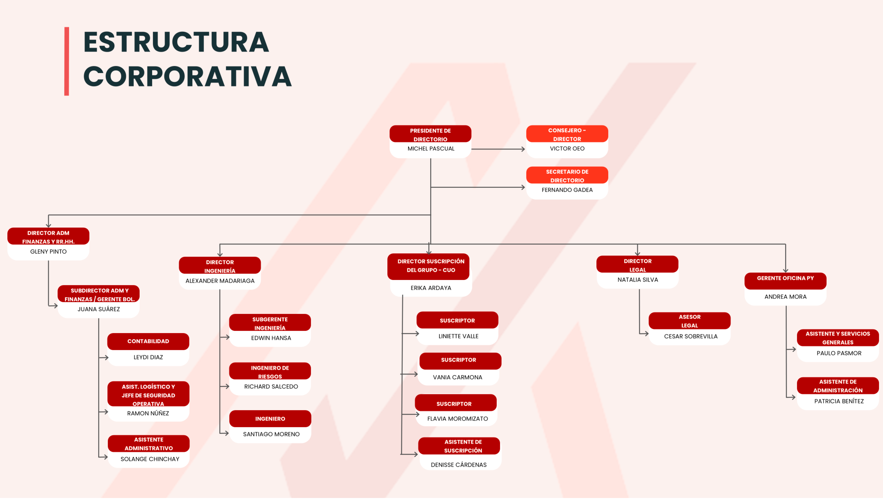 organigrama-al-10.10